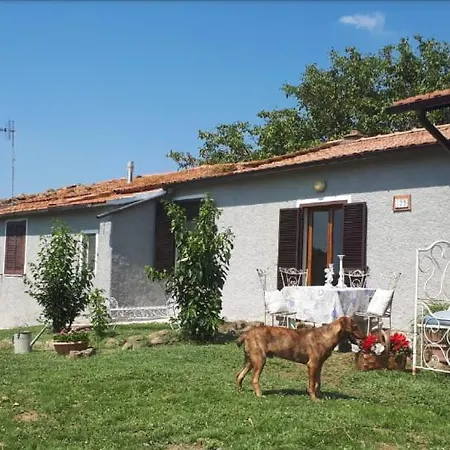 Il Poggetto Di Barbara Casa Grigia Σπίτι διακοπών Montorgiali
